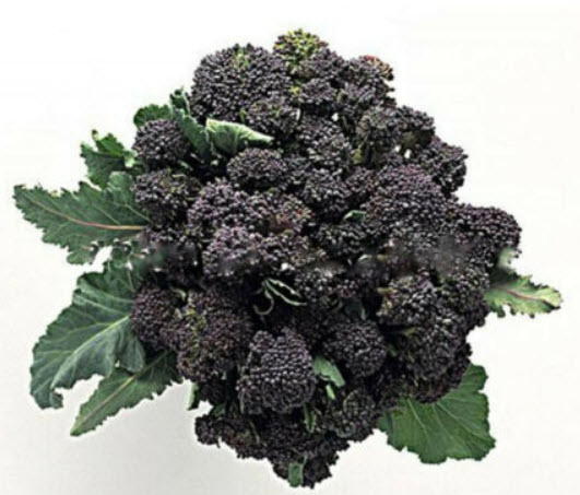 กะหล่ำดอก (Cauliflower) คละสี / 200 เม็ด (China)