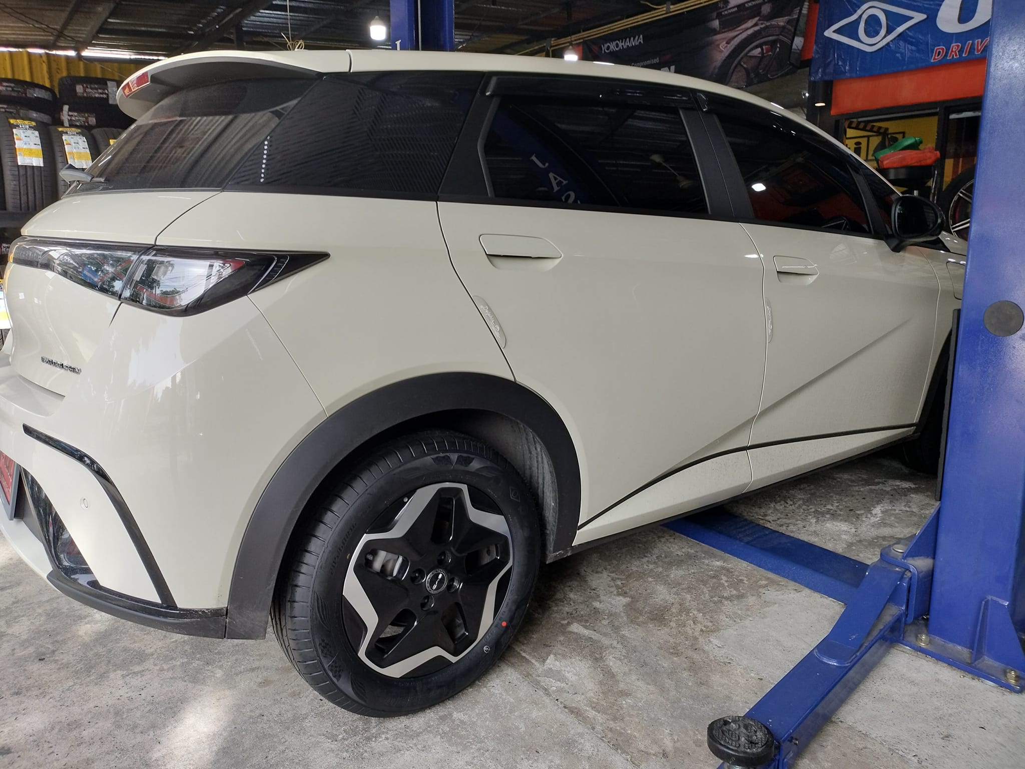 #BYD_DOLPHIN #OTANI_KC2000_205/60R16