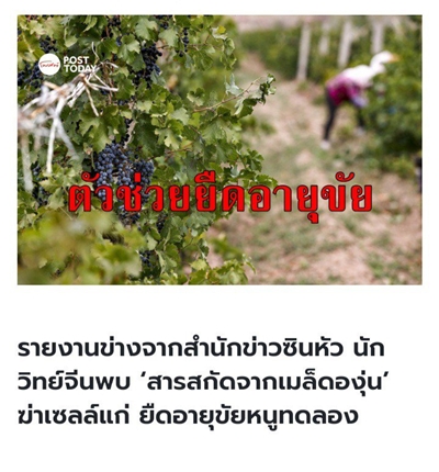 Khaolaor Colla 500 Plus ขาวละออ คอลลา 500 พลัส คอลลาเจนผสมสารสกัดเมล็ดองุ่น วิตามินซีและอี 60 เม็ด/ขวด