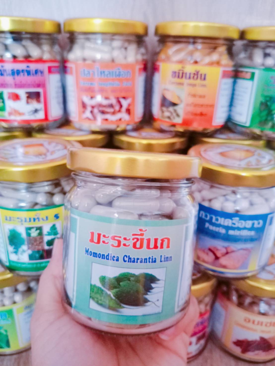 มะระขี้นก พรหมรังสี