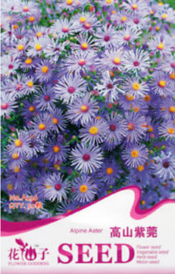อัลไพน์ แอสเตอร์ (Alpine Aster) สีม่วง / 50 เม็ด (A236)