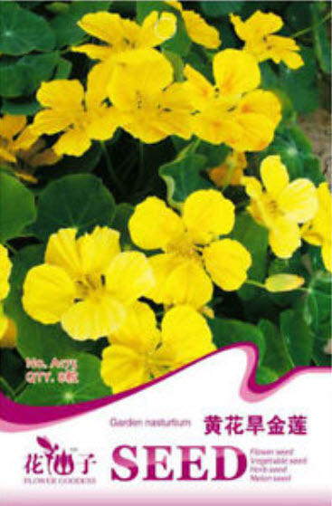 แนสเตอเตียม (Nasturtium) สีเหลือง / ซอง 8 เม็ด (A175)
