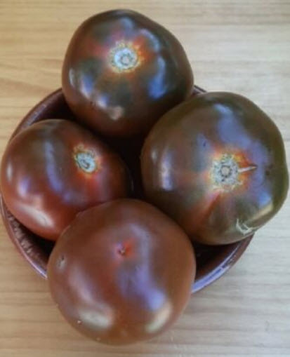 มะเขือเทศ สีดำ (Black Tomato) / 25 เม็ด (Spain)