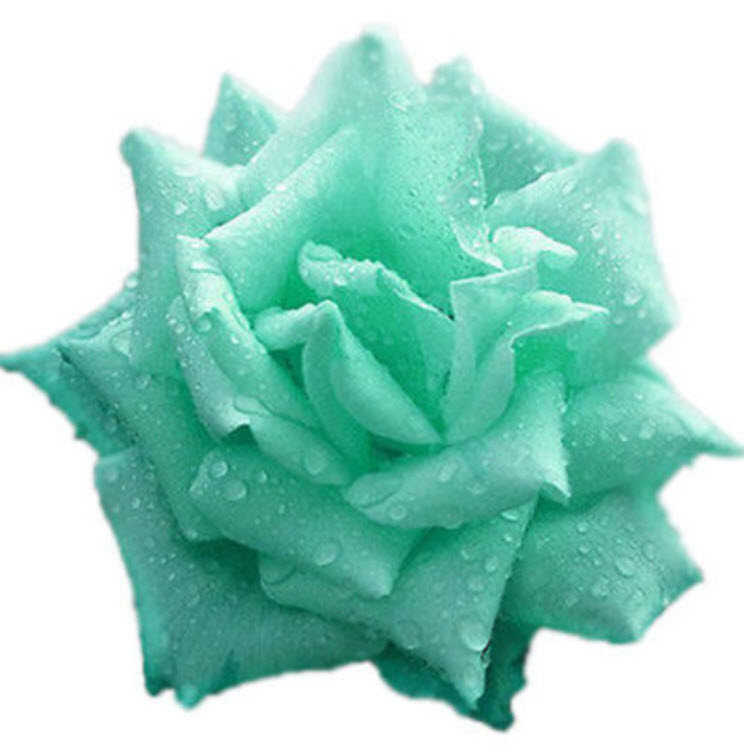 กุหลาบดอกสีฟ้า / 200 เม็ด