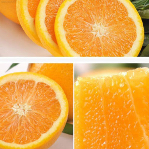 ส้มสะดือ วอชิงตัน (Washington Navel Orange) / 10 เม็ด (China)