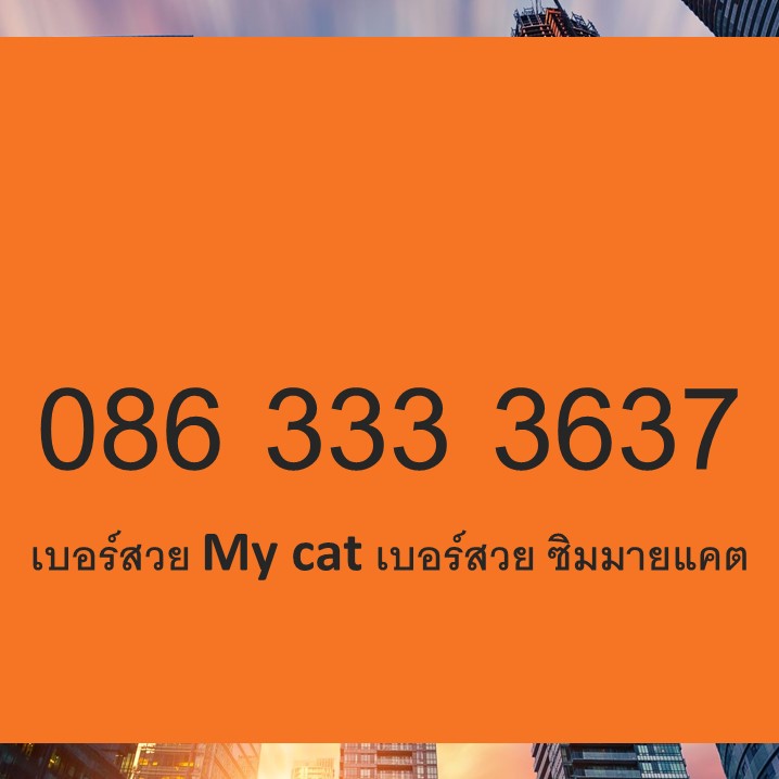 เบอร์สวย My cat เบอร์สวย ซิมมายแคต เบอร์สวย เบอร์โฟร์หน้า ซิมเบอร์สวย เบอร์เติมเงิน เบอร์จำง่าย เบอร์ vip