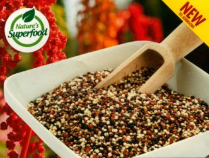 ควินัว (Quinoa) คละสี / 100 เม็ด (Australia)