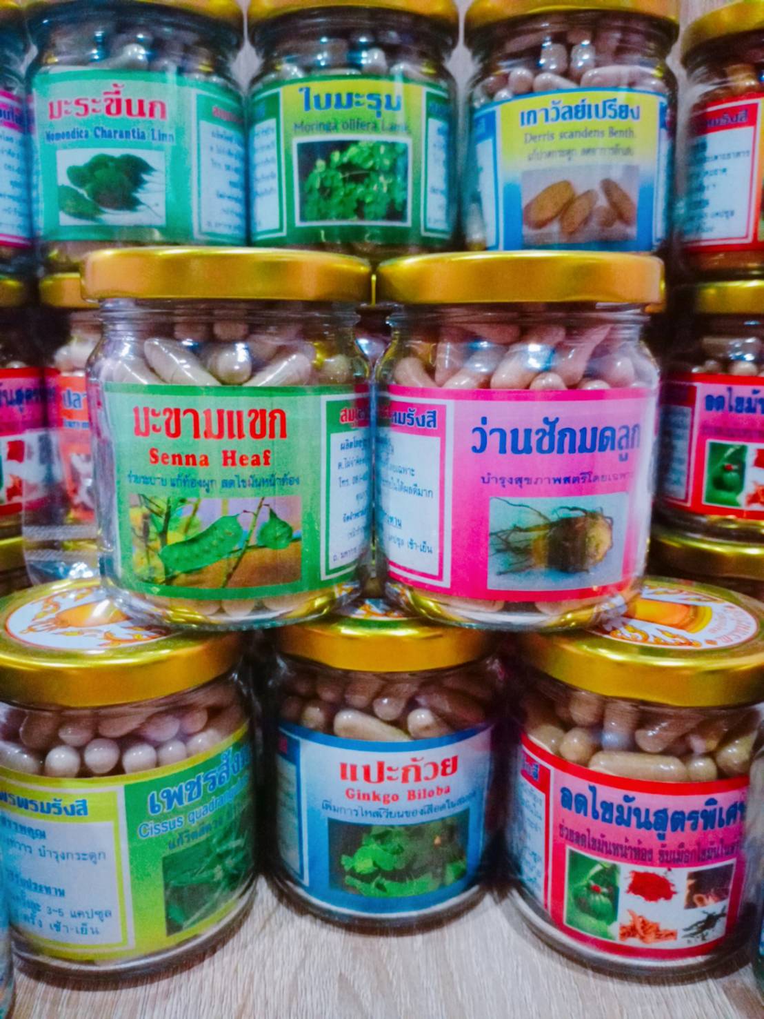 มะขามแขก สมุนไพรพรหมรังสี