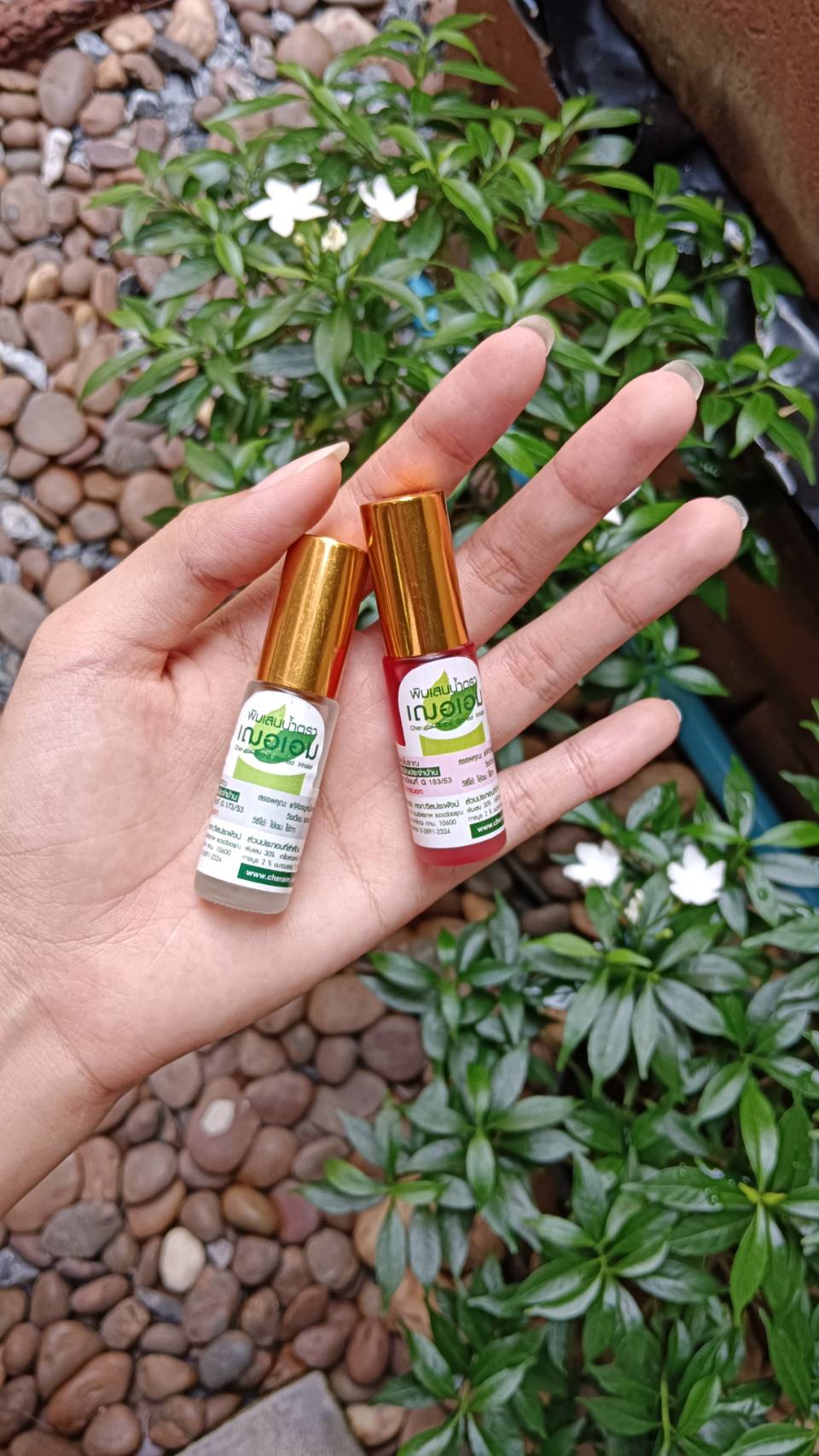 พิมเสนน้ำ เฌอเอม