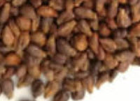 องุ่นดำเคียวโฮ (Black Kyoho Grape) ไร้เมล็ด / 50 เม็ด