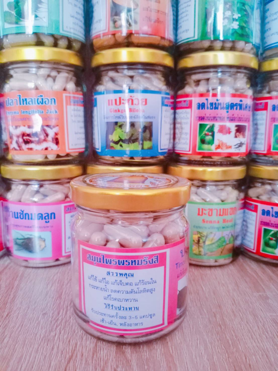 บอระเพ็ด สมุนไพรพรหมรังสี