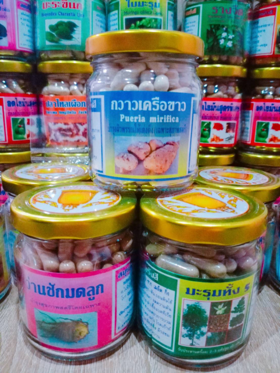 คราวเครือขาว สมุนไพรพรหมรังสี