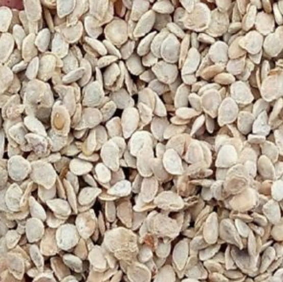 มะเขือเทศพวง ลูกยาว สีส้ม / 200 เม็ด (China)