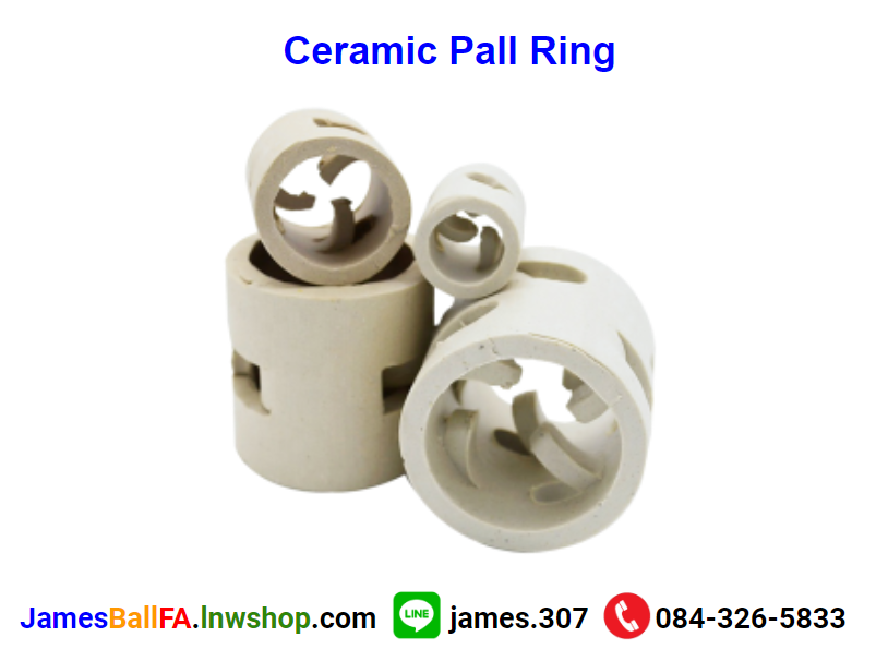 Ceramic Pall Ring แหวนโลหะแหวนพอล