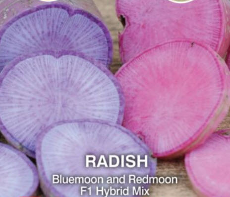 หัวไชเท้า Bluemoon & Redmoon F1 Hybrid คละ / 100 เม็ด (UK)