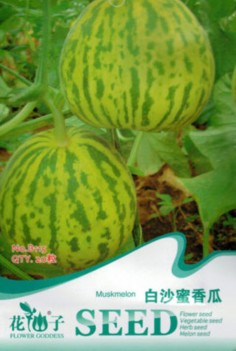 แตงเมล่อน (Muskmelon) / ซอง 20 เม็ด (B115)