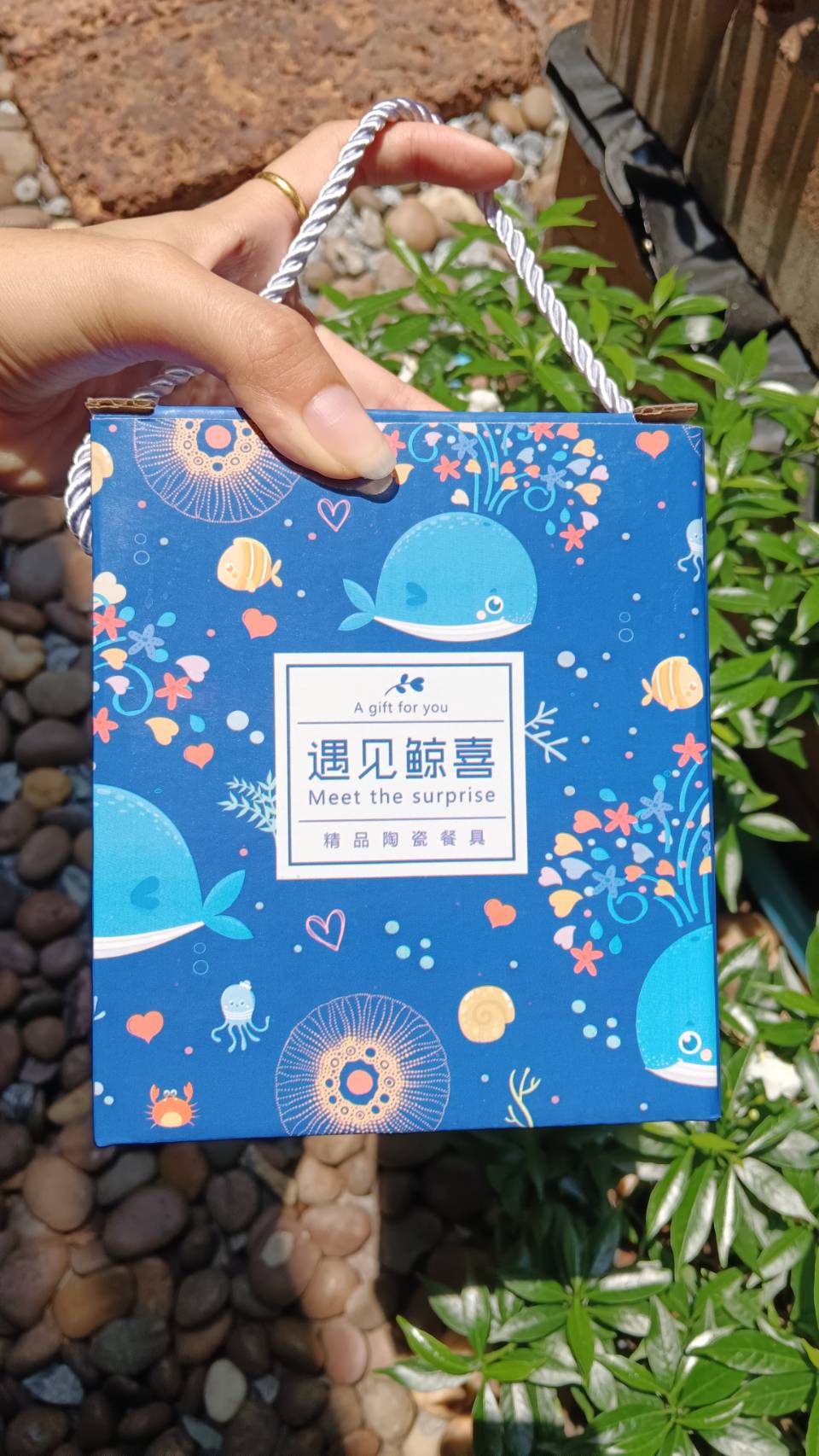 ชุดถ้วยเซรามิค พร้อมช้อน มีกล่องหูหิ้ว