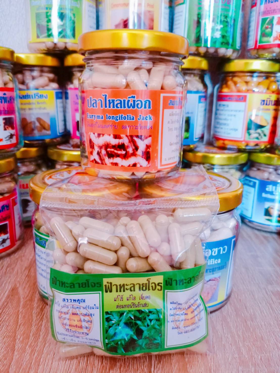 ปลาไหลเผือก พรหมรังสี