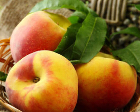 แอปเปิ้ล (Apple) คละสี / 50 ชิ้น (S018)