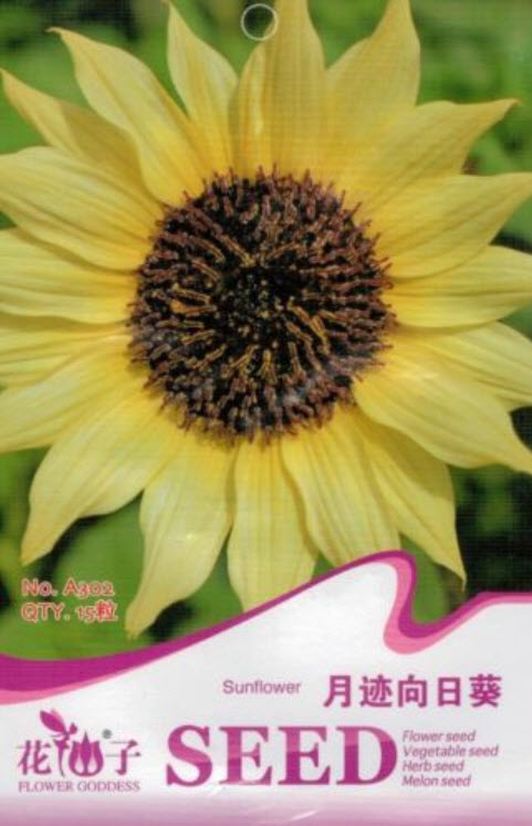 ทานตะวัน สีเหลือง / ซอง 15 เม็ด (A302)