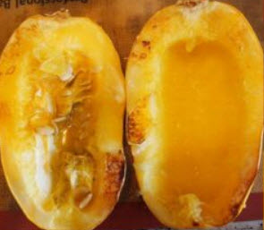 ฟักทองสปาเก็ตตี้ (Spaghetti Pumpkin) / 5 เม็ด (Hungary)