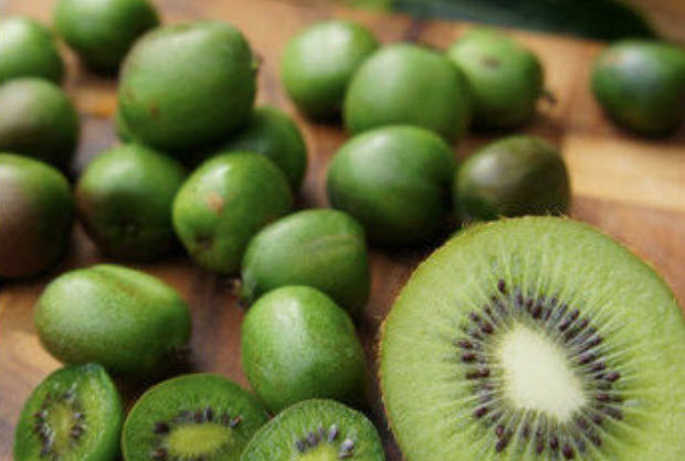 กีวี่ มินิ (Kiwi mini) / 50 เม็ด (China)