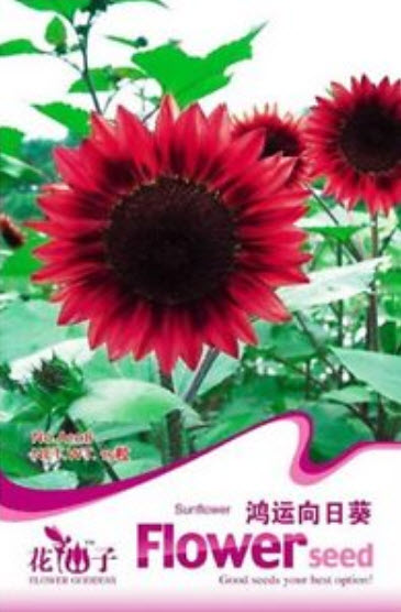 ทานตะวันแดง (Sunflower) / ซอง 15 เม็ด (A108)