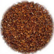 ถั่วฝักยาว พันธุ์น่าน 1 / 50 เม็ด