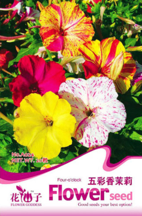 บานเย็น คละสี ซอง 20 เม็ด (A024)
