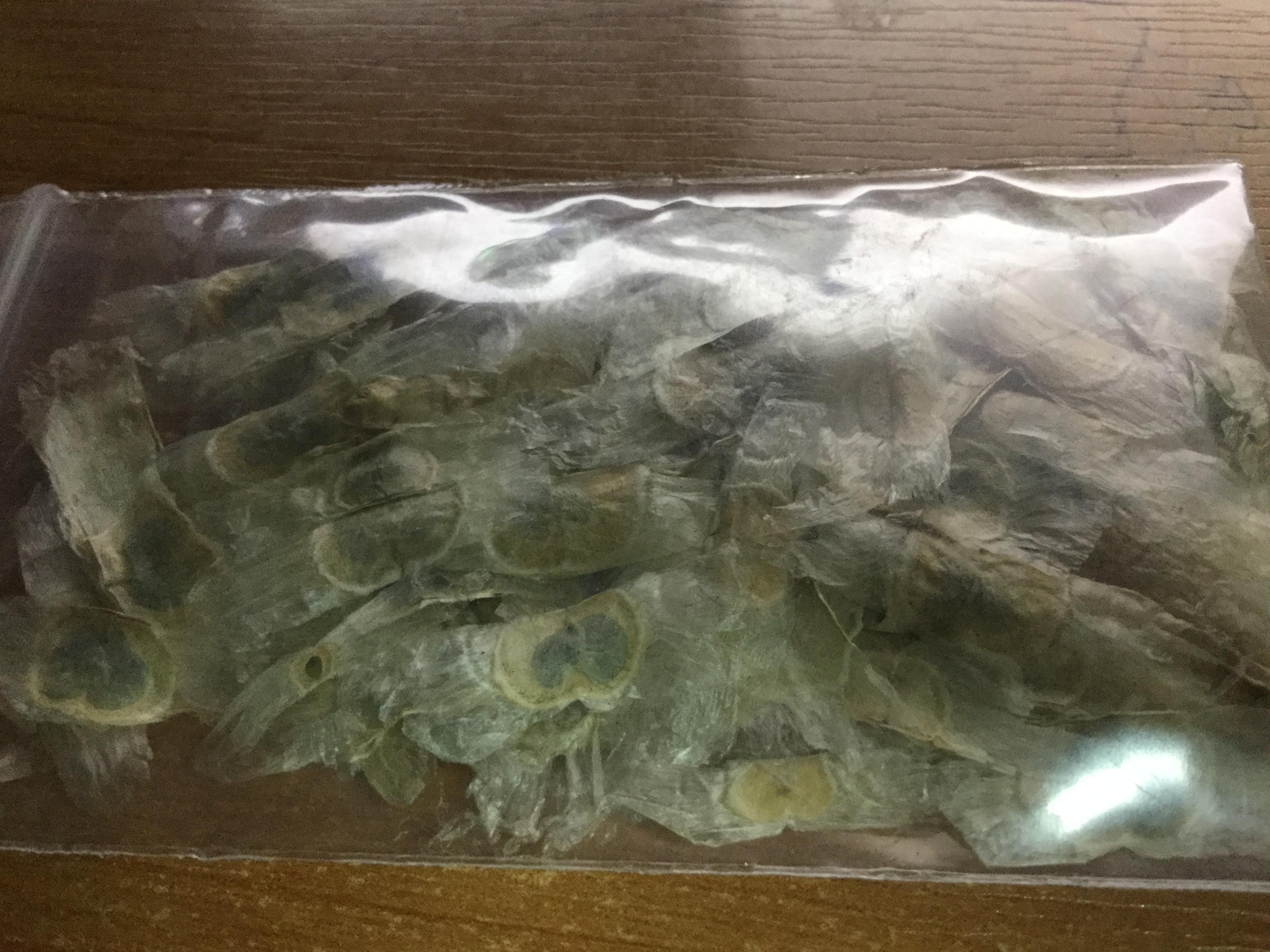 เหลืองเชียงราย (Golden Trumpet Tree) / 20 เม็ด