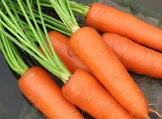 แครอท (carrot) สีส้ม / 400 เม็ด