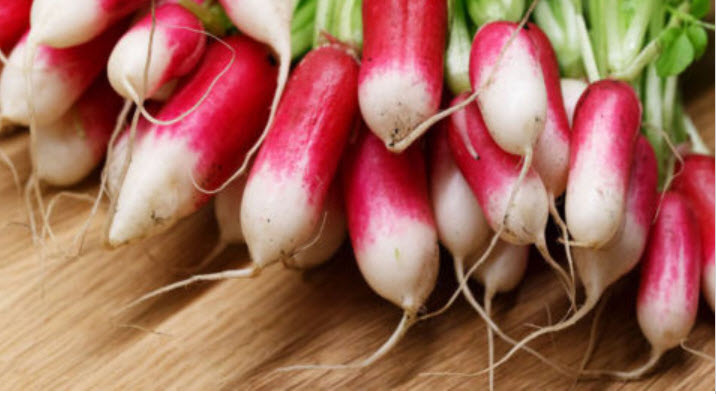 หัวไชเท้าแดง French Breakfast / 1,000 เม็ด (UK)