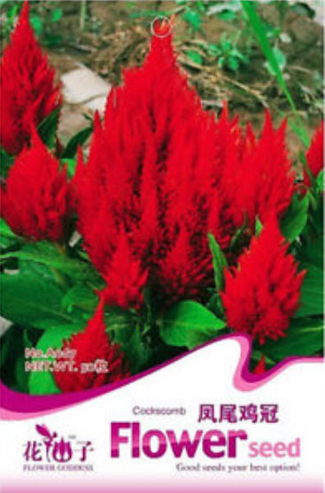 สร้อยไก่ (Plumed Celosia) สีแดง / ซอง 50 เม็ด (A067)