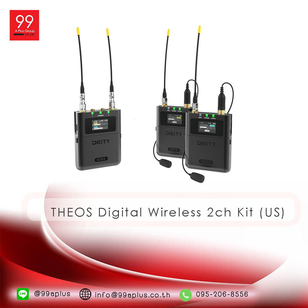 THEOS Digital Wireless 2ch Kit (US)
