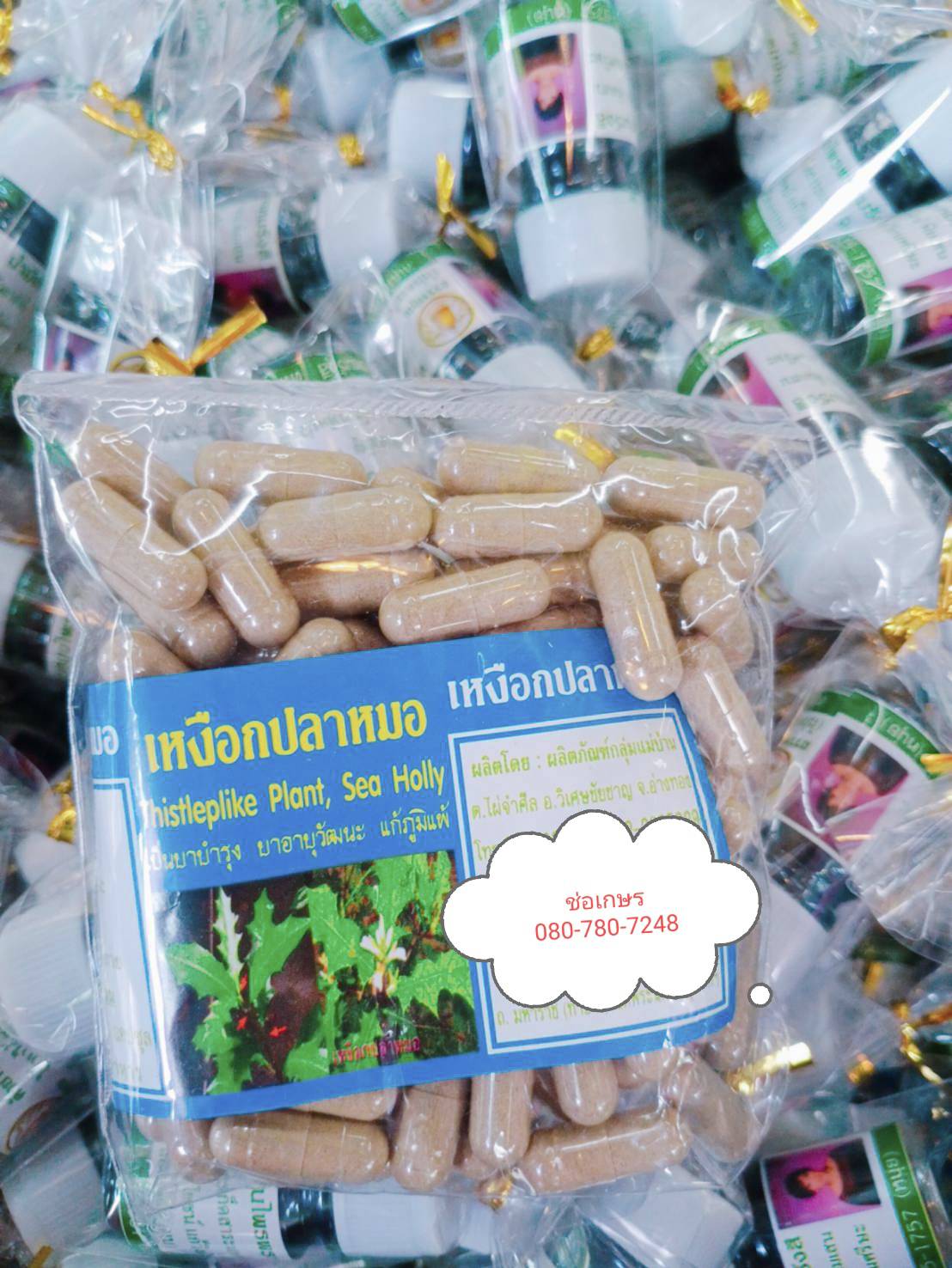 เหงือกปลาหมอ พรหมรังสี