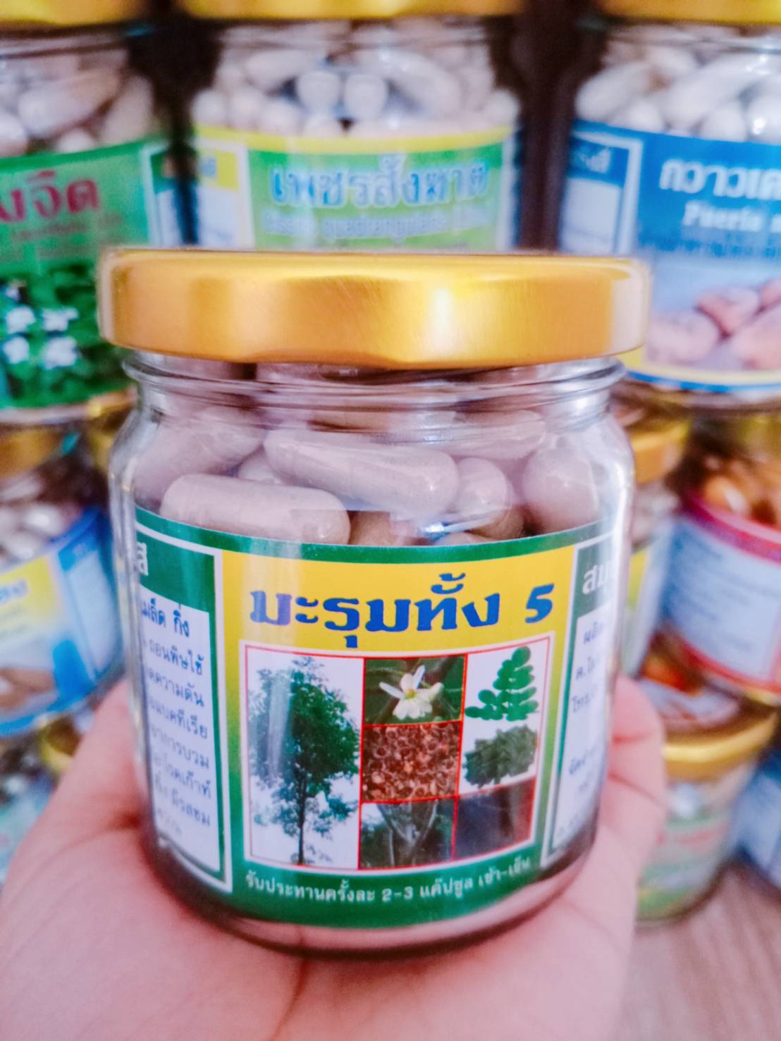 มะรุมทั้ง 5 พรหมรังสี