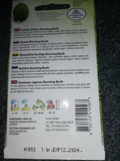 หญ้ากอเชีย (Burning Bush / Cypress Kochia) / ซอง 650 เม็ด (Latvia)