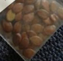 ทิ้งถ่อนบอนไซ สีชมพู (Pink Siris) / 5 เม็ด (นอก)