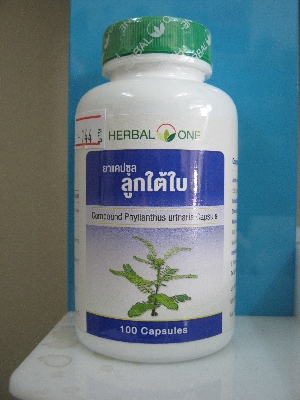ลูกใต้ใบ