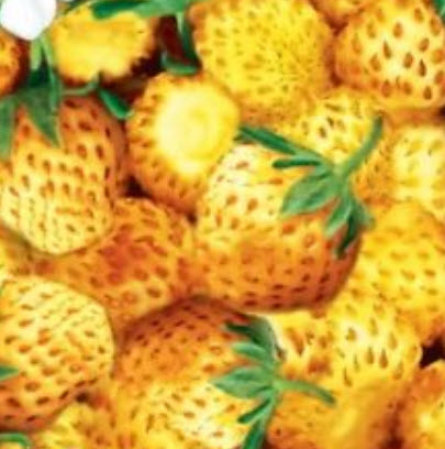 สตรอเบอรี่ป่า (Wild Strawberry) สีเหลือง / 100 เม็ด (หายาก)