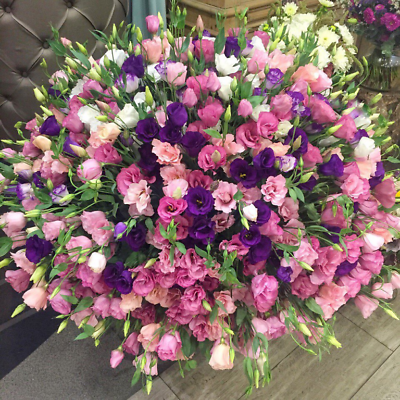ไลซิแอนธัส (Lisianthus) คละ / 400 เม็ด (Russia)