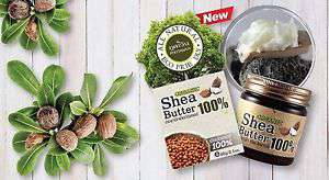 Phutawan Shea Butter 100% Organic เชียร์บัตเตอร์ ออแกนิก 100%