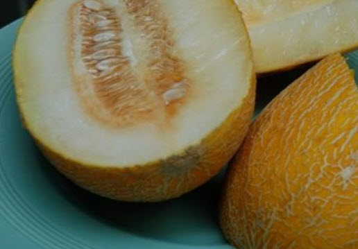 แตงบูคาร่า (Bukhara Muskmelon) อร่อยที่สุดในโลก / 5 เม็ด (Uzbekistan)