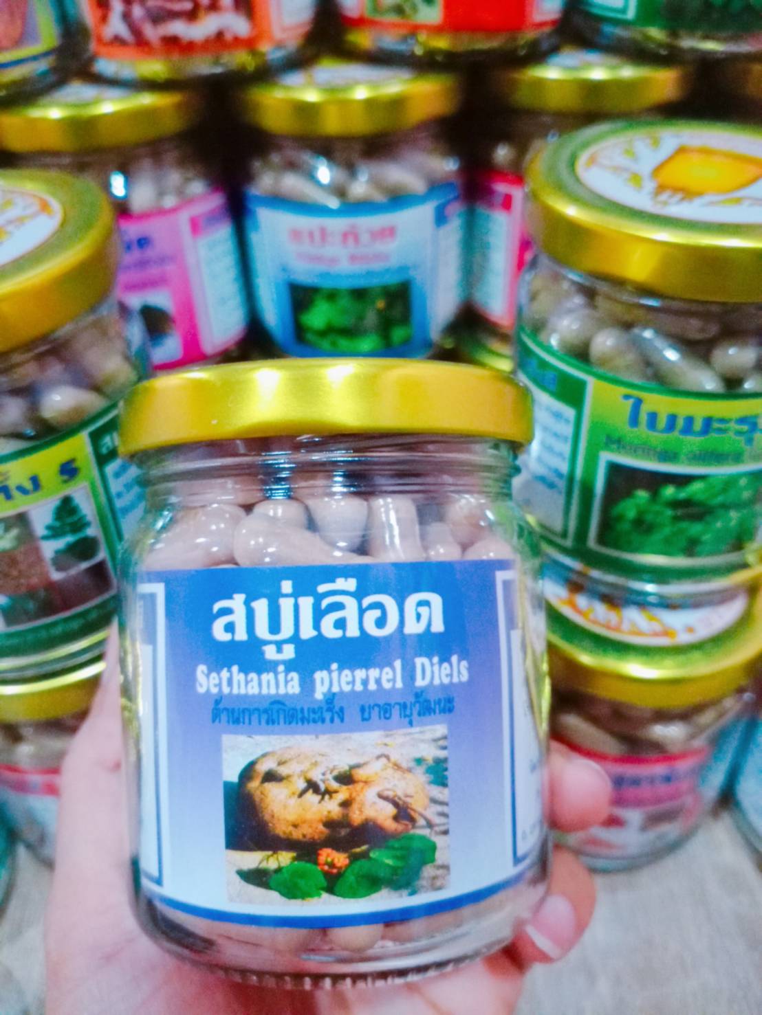 สบู่เลือด พรหมรังสี