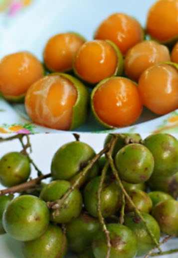 มะนาว Sweet Spanish / 10 เม็ด