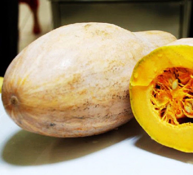 ฟักทองลูกยาว / ซอง 8 เม็ด (C044)