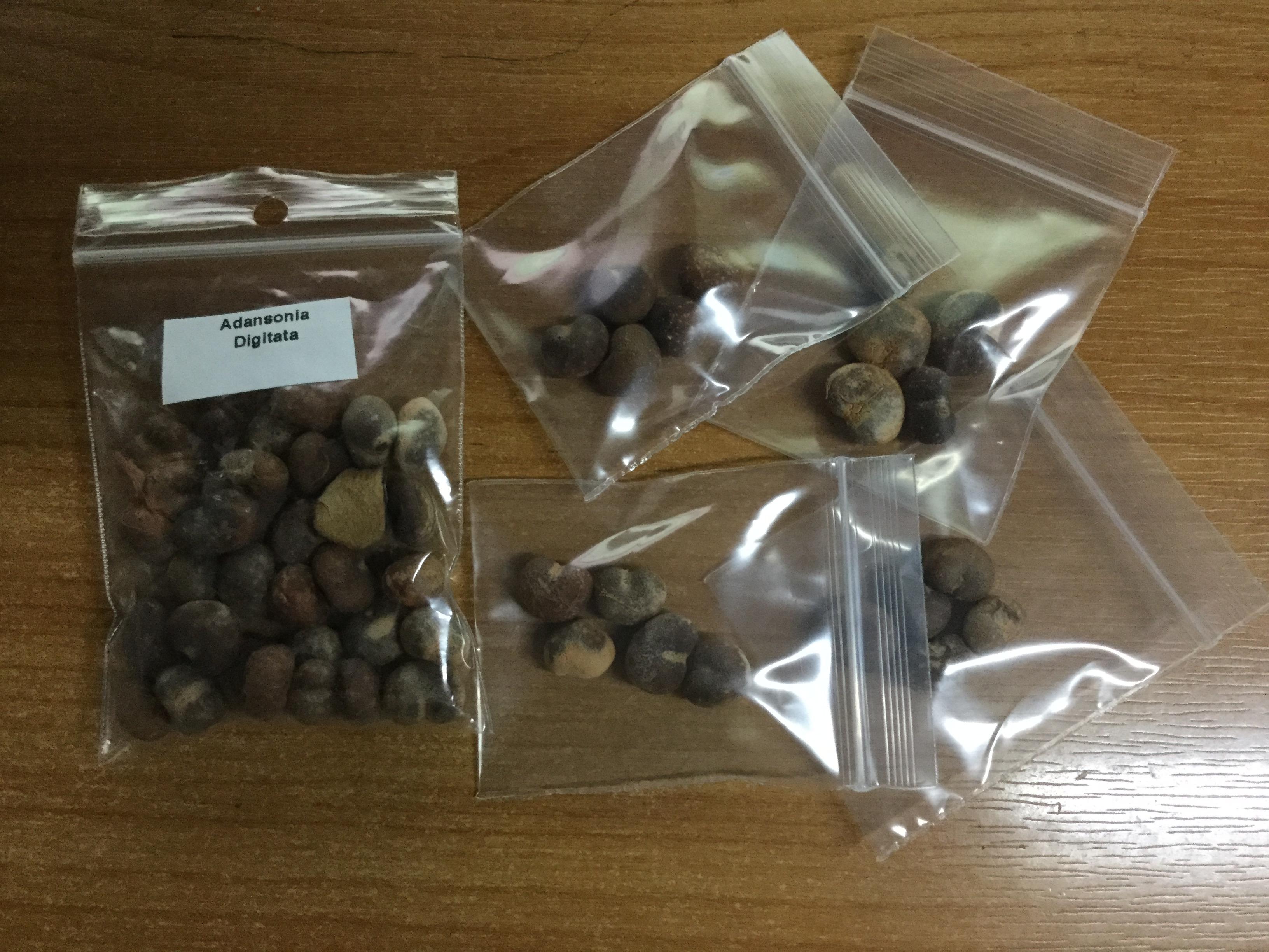 อัฟริกัน เบาบับ (African Baobab) / 5 เม็ด (Portugal)