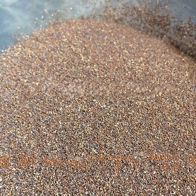 คาลิบราโคว์ - แอปริคอท พั้นช์ (Calibrachoa - Apricot Punch) / 200 เม็ด