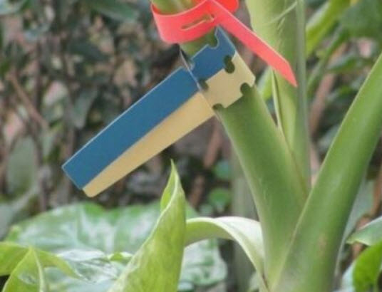 ป้ายชื่อแบบคล้อง คละสี / 25 ชิ้น (ไต้หวัน)