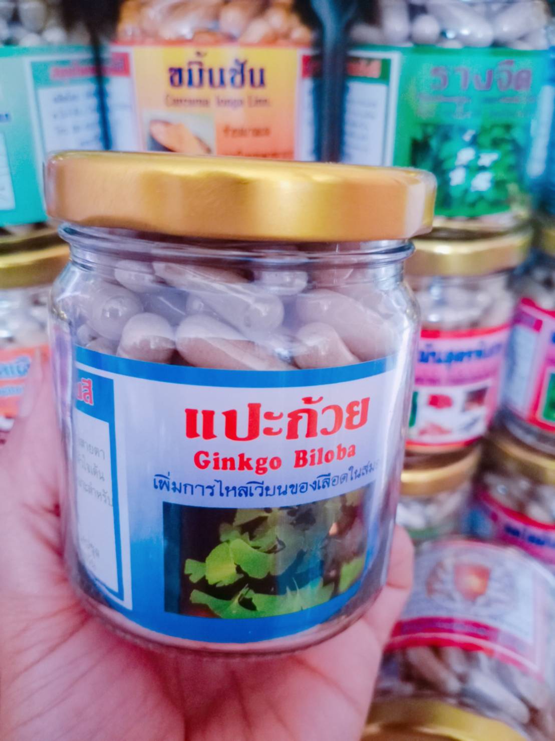 แปะก้วย สมุนไพรพรหมรังสี